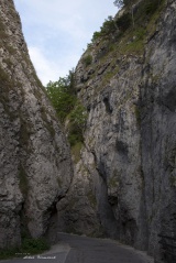 Národná prírodná rezervácia Manínska úžina (tiesňava)