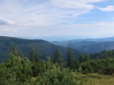 Kráľov stôl, ktorý nakoniec nebol