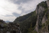 Národná prírodná rezervácia Manínska úžina (tiesňava)