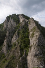 Národná prírodná rezervácia Manínska úžina (tiesňava)
